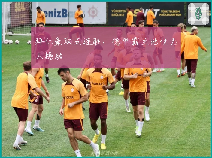 拜仁豪取五连胜，德甲霸主地位无人撼动